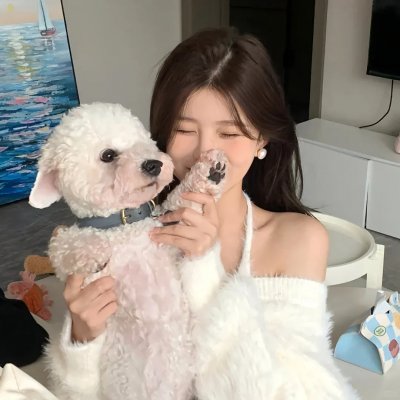 狗狗监护权